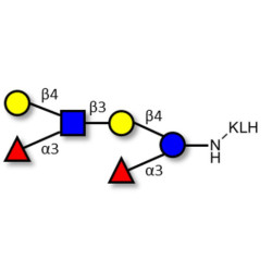 Lewis x (Lex) hexaose / Lacto-N-neodifucohexaose II (LNnDFH II) grafted on KLH