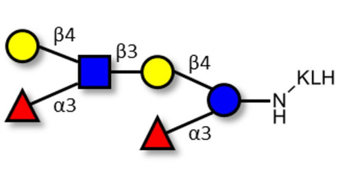 Lewis x (Lex) hexaose / Lacto-N-neodifucohexaose II (LNnDFH II) grafted on KLH - Lewis X hexasaccharide; Lacto-N-difucohexaose III ; LNDFH III