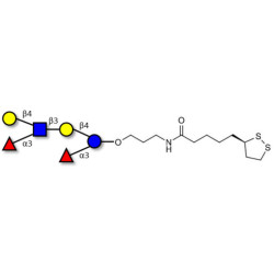 Lewis x (Lex) hexaose / Lacto-N-neodifucohexaose II (LNnDFH II) with cyclic di-thiol (Linker-LIPO A)