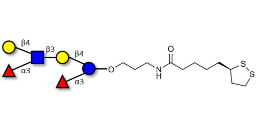 Lewis x (Lex) hexaose / Lacto-N-neodifucohexaose II (LNnDFH II) with cyclic di-thiol (Linker-LIPO A) - Lewis X hexasaccharide; Lacto-N-difucohexaose III ; LNDFH III