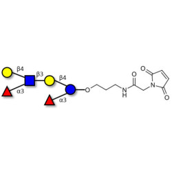 Lewis x (Lex) hexaose / Lacto-N-neodifucohexaose II (LNnDFH II) linked to maleimide (Linker-MAL A)
