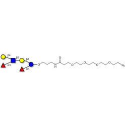 Lewis x (Lex) hexaose / Lacto-N-neodifucohexaose II (LNnDFH II) with terminal azide (Linker-N3 A)