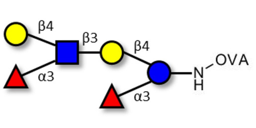 Lewis x (Lex) hexaose / Lacto-N-neodifucohexaose II (LNnDFH II) grafted on OVA - Lewis X hexasaccharide; Lacto-N-difucohexaose III ; LNDFH III