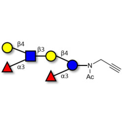 Lewis x (Lex) hexaose / Lacto-N-neodifucohexaose II (LNnDFH II) with terminal alkyne (Linker-CΞCH A)