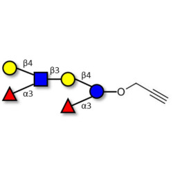 Lewis x (Lex) hexaose / Lacto-N-neodifucohexaose II (LNnDFH II) with terminal alkyne (Linker-CΞCH B)