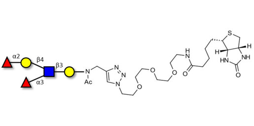 Lewis y (Ley) pentaose linked to biotin (Linker-BT A) - GLY052-NAc-sp3-Bt