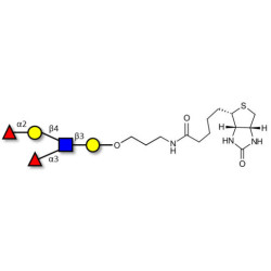 Lewis y (Ley) pentaose linked to biotin (Linker-BT B)