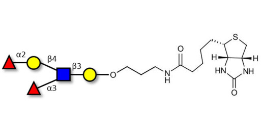 Lewis y (Ley) pentaose linked to biotin (Linker-BT B)