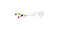 Lewis y (Ley) pentaose linked to biotin (Linker-BT B)