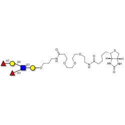 Lewis y (Ley) pentaose linked to biotin (Linker-BT C)
