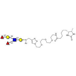 Lewis y (Ley) pentaose linked to desthiobiotin (Linker-DBT-A)