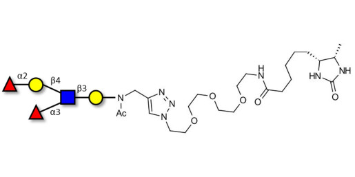 Lewis y (Ley) pentaose linked to desthiobiotin (Linker-DBT-A)