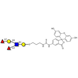 Lewis y (Ley) pentaose linked to fluorescein (Linker-FLUO A)