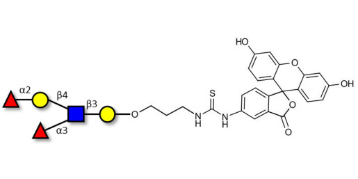 Lewis y (Ley) pentaose linked to fluorescein (Linker-FLUO A)