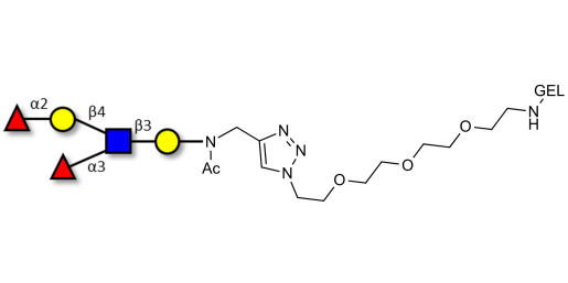 Lewis y (Ley) pentaose grafted on gel for affinity chromatography (Linker-GEL A)