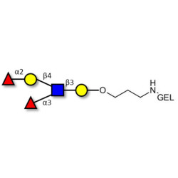 Lewis y (Ley) pentaose grafted on gel for affinity chromatography (Linker-GEL B)