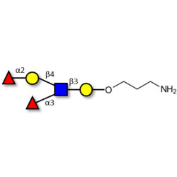 Lewis y (Ley) pentaose with free terminal amine (Linker-NH2 A)