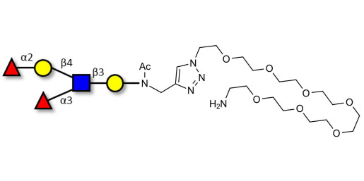 Lewis y (Ley) pentaose with free terminal amine (Linker-NH2 C)