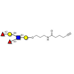Lewis y (Ley) pentaose with terminal alkyne (Linker-CΞCH C)