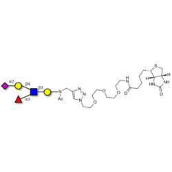 Sialyl Lewis x (sLex) pentaose linked to biotin (Linker-BT A)