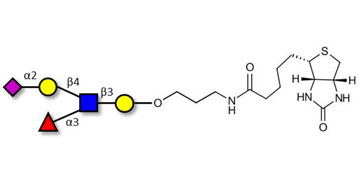 Sialyl Lewis x (sLex) pentaose linked to biotin (Linker-BT B)