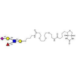 Sialyl Lewis x (sLex) pentaose linked to biotin (Linker-BT C)