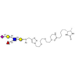 Sialyl Lewis x (sLex) pentaose linked to desthiobiotin (Linker-DBT-A)