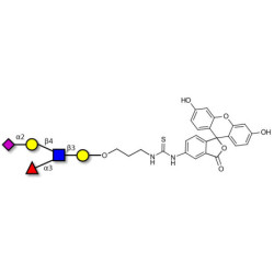 Sialyl Lewis x (sLex) pentaose linked to fluorescein (Linker-FLUO A)