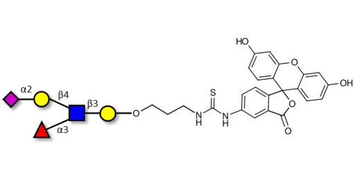 Sialyl Lewis x (sLex) pentaose linked to fluorescein (Linker-FLUO A)