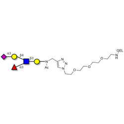 Sialyl Lewis x (sLex) pentaose grafted on gel for affinity chromatography (Linker-GEL A)