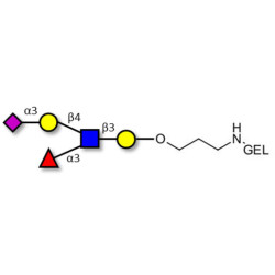 Sialyl Lewis x (sLex) pentaose grafted on gel for affinity chromatography (Linker-GEL B)