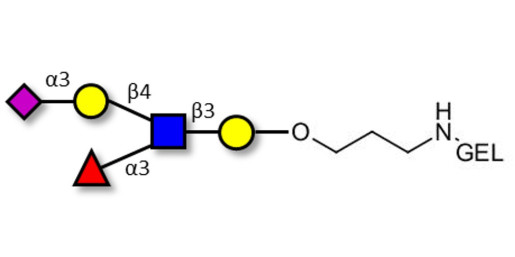 Sialyl Lewis x (sLex) pentaose grafted on gel for affinity chromatography (Linker-GEL B)