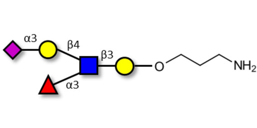 Sialyl Lewis x (sLex) pentaose with free terminal amine (Linker-NH2 A)