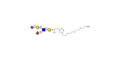 Sialyl Lewis x (sLex) pentaose with free terminal amine (Linker-NH2 B)