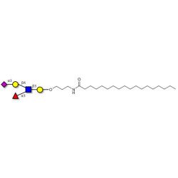 Sialyl Lewis x (sLex) pentaose with stearic chain (Linker-STEA A)