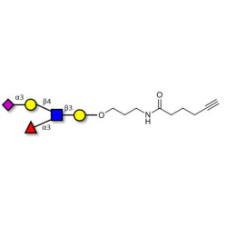 Sialyl Lewis x (sLex) pentaose with terminal alkyne (Linker-CΞCH C)