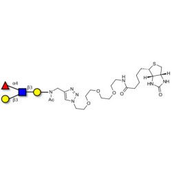 Lewis a (Lea) tetraose linked to biotin (Linker-BT A)