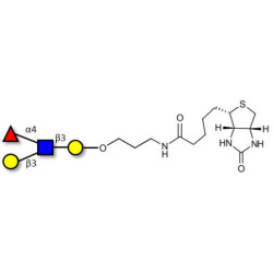 Lewis a (Lea) tetraose linked to biotin (Linker-BT B)