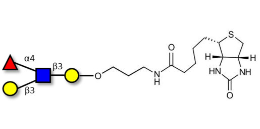 Lewis a (Lea) tetraose linked to biotin (Linker-BT B)
