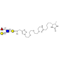 Lewis a (Lea) tetraose linked to desthiobiotin (Linker-DBT-A)
