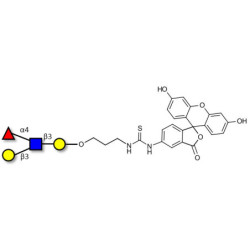 Lewis a (Lea) tetraose linked to fluorescein (Linker-FLUO A)