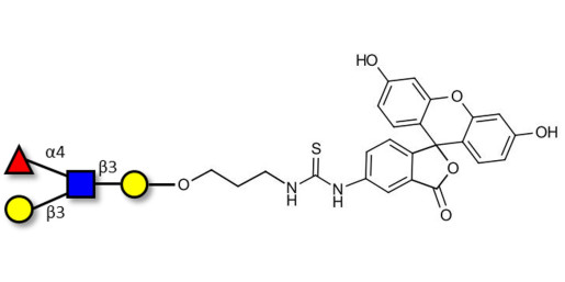 Lewis a (Lea) tetraose linked to fluorescein (Linker-FLUO A)