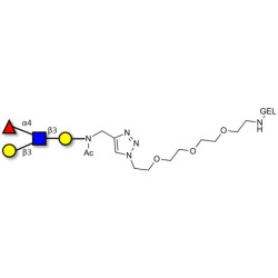 Lewis a (Lea) tetraose grafted on gel for affinity chromatography (Linker-GEL A)