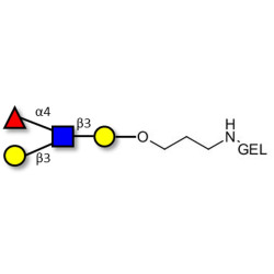 Lewis a (Lea) tetraose grafted on gel for affinity chromatography (Linker-GEL B)