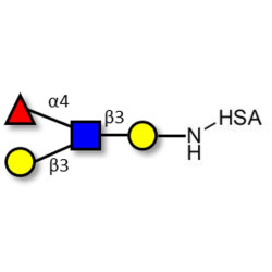 Lewis a (Lea) tetraose grafted on HSA
