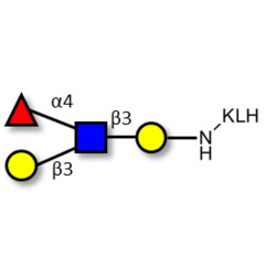 Lewis a (Lea) tetraose grafted on KLH