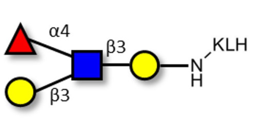 Lewis a (Lea) tetraose grafted on KLH
