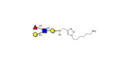 Lewis a (Lea) tetraose with...