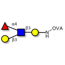Lewis a (Lea) tetraose grafted on OVA