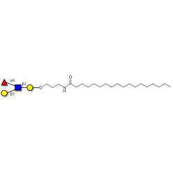 Lewis a (Lea) tetraose with stearic chain (Linker-STEA A)